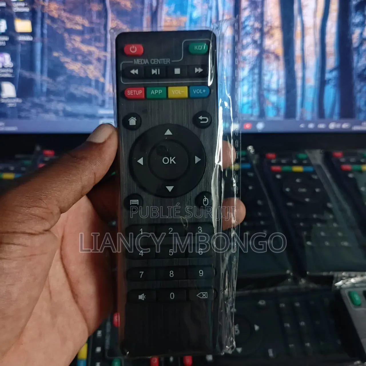 Télécommandes Universelles en Gros – 1500 Fcfa / Pièce