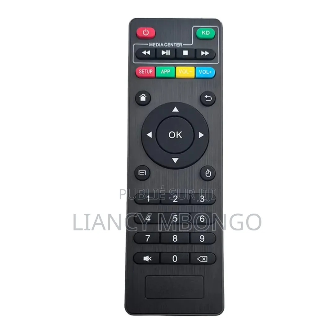 Télécommandes Universelles en Gros – 1500 Fcfa / Pièce