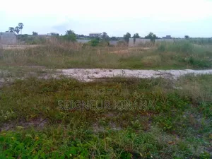 5 Parcelles À Vendre Ngoyo Sexy Folie