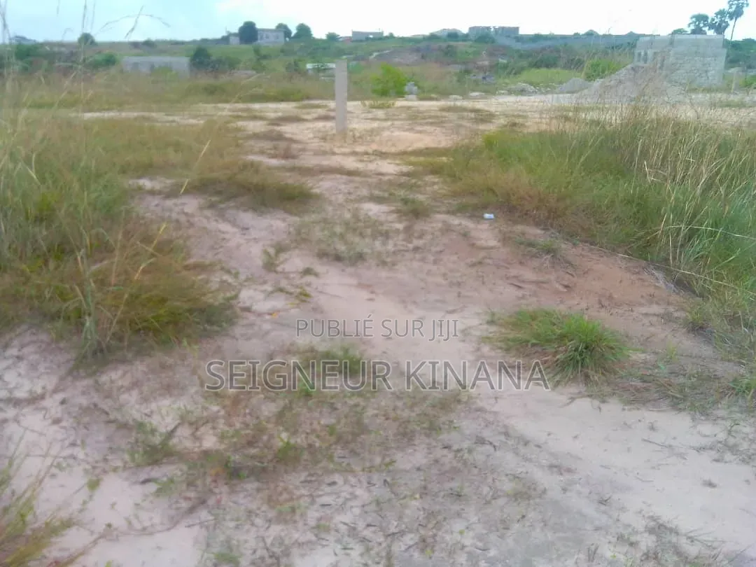 5 Parcelles À Vendre Ngoyo Sexy Folie