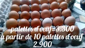 Opportunité Business