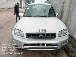 Toyota RAV4 1994 Gris