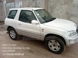 Toyota RAV4 1994 Gris