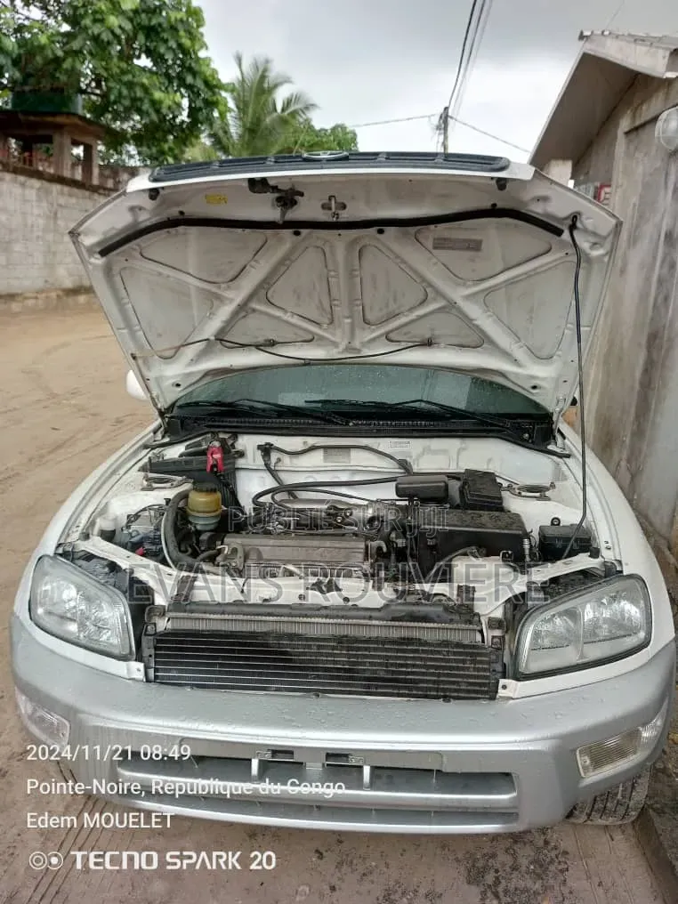 Toyota RAV4 1994 Gris