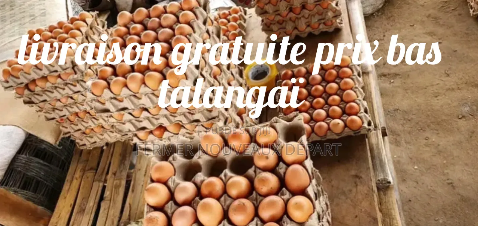  Augmenter Vos Votes Avec Nos Offres Livraison Gratuite