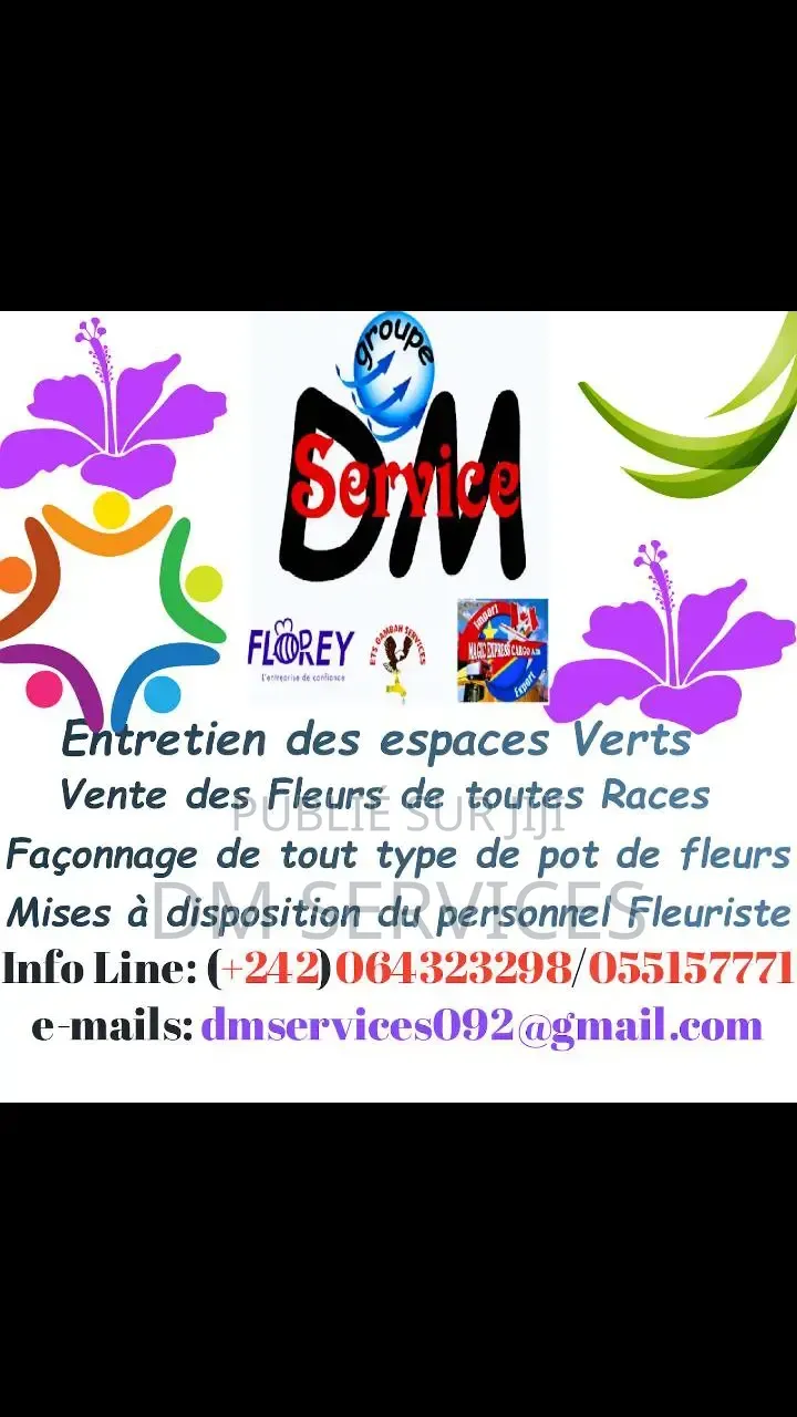 Dm Services International