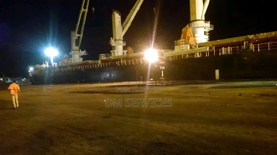 Dm Services International