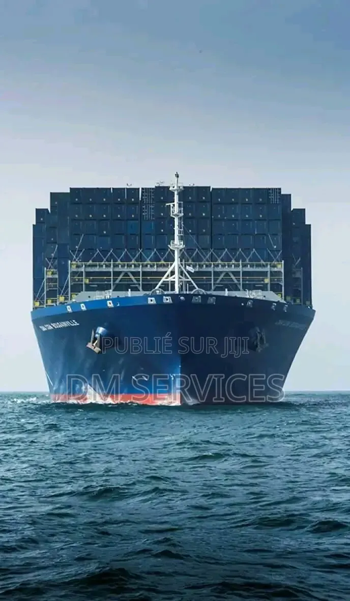 Dm Services International