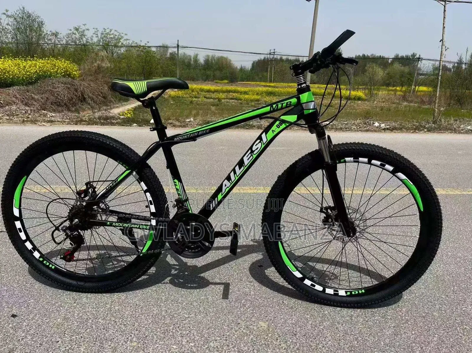 21 Vitesses Dérailleur, Shimano Japonais. Roue 26