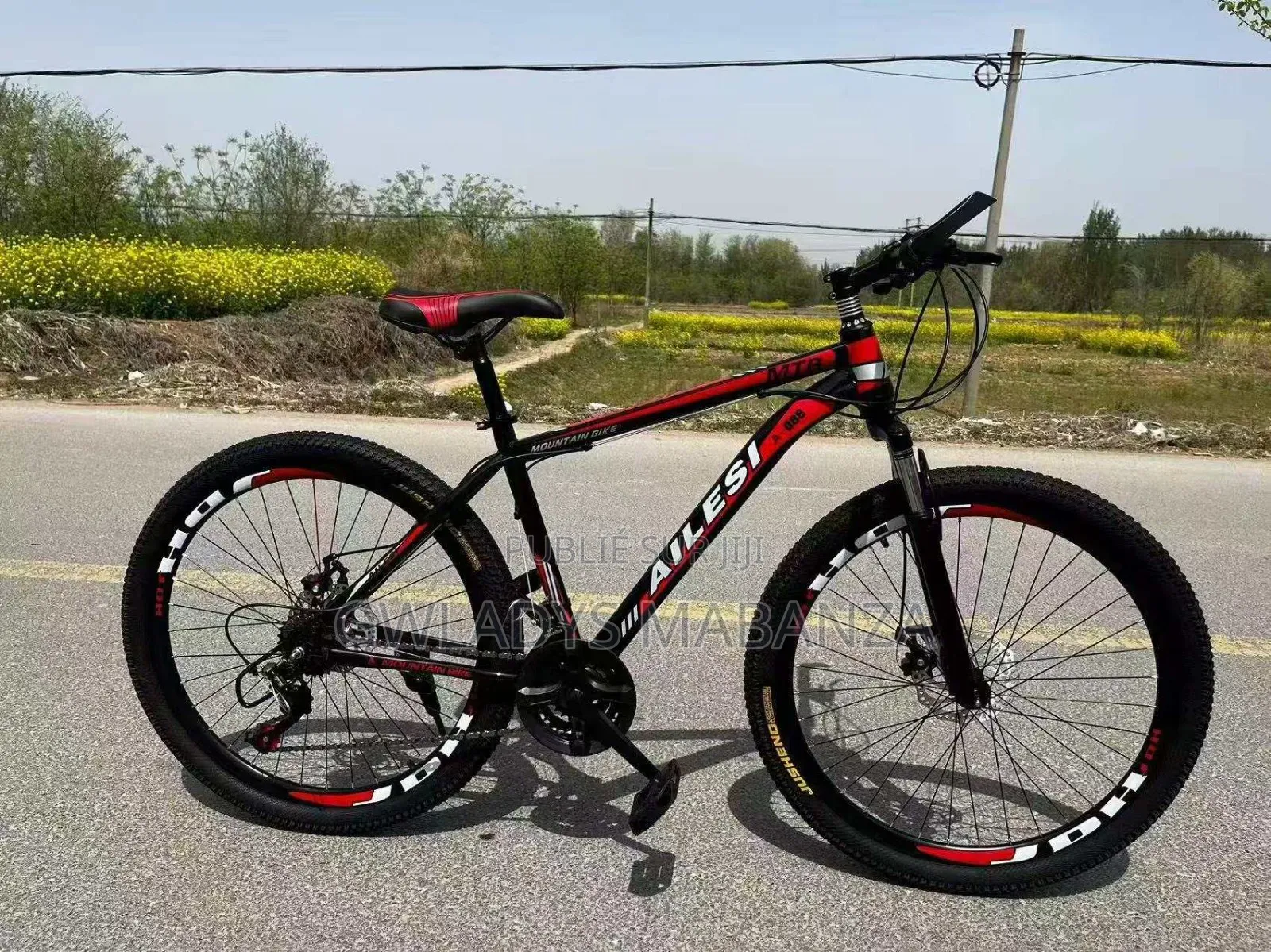 21 Vitesses Dérailleur, Shimano Japonais. Roue 26