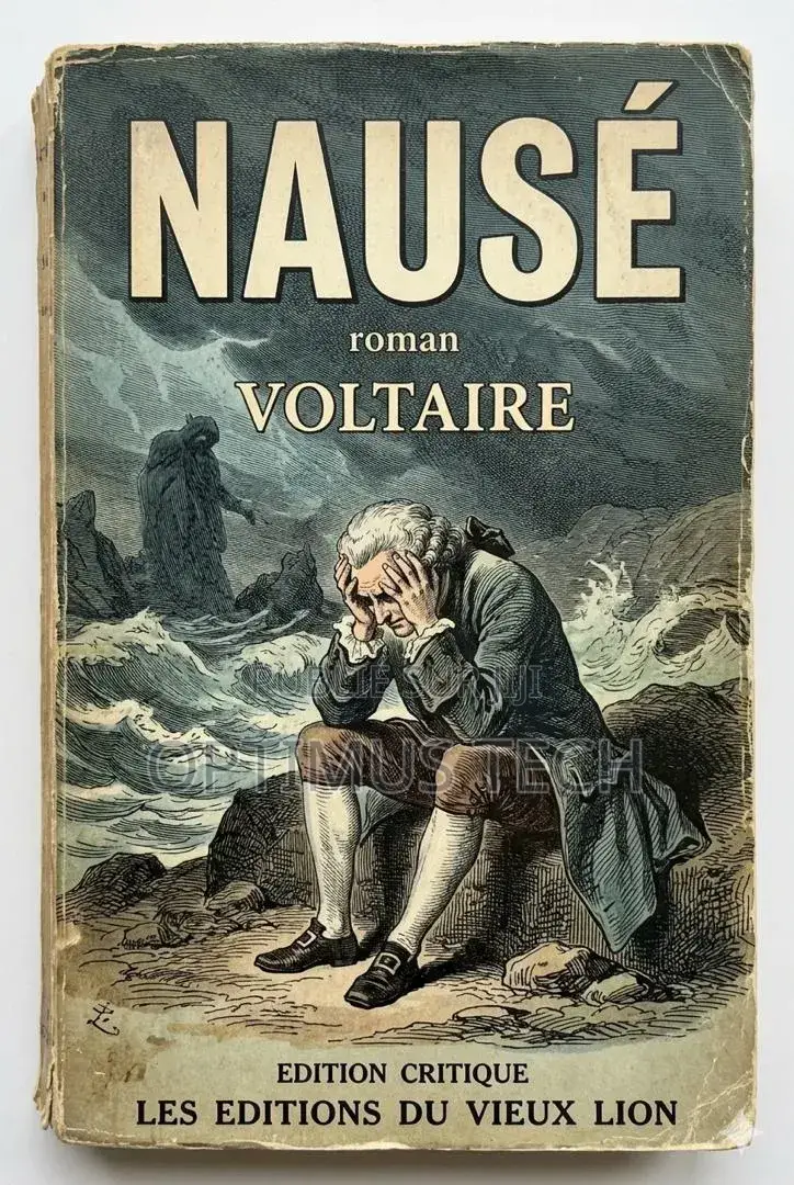 Nausé De Voltaire