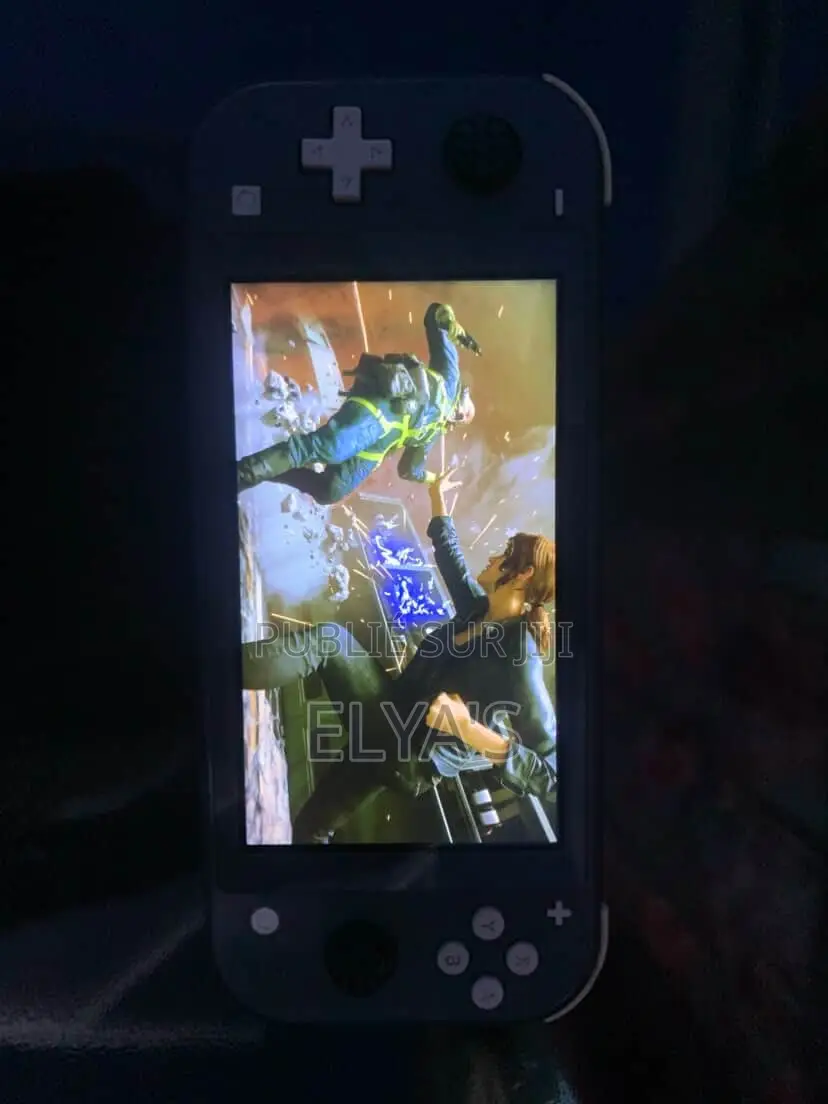 Pointe-Noire/Nintendo Switch Lite (20 Jeux Installés+ Une Disquette))