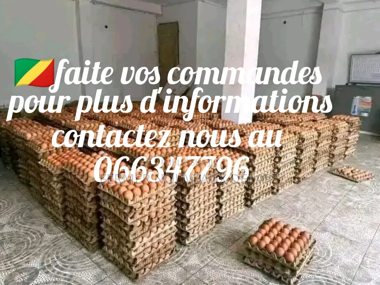 Œuf Frais en Gros Et en Détail