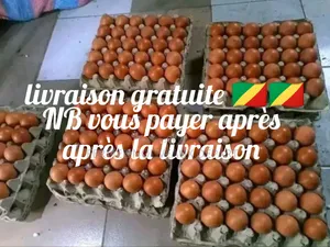 Œuf Frais en Gros Et en Détail