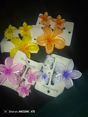 Barrettes750