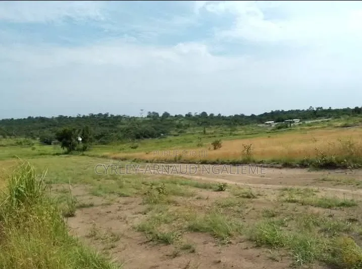 Bloc ( 10 Parcelles) À Vendre