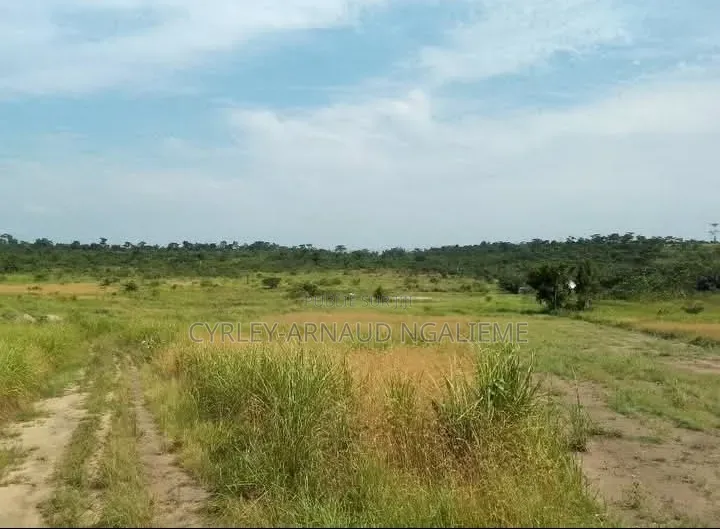 Bloc ( 10 Parcelles) À Vendre