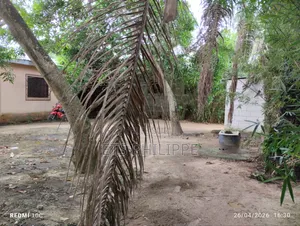 Parcelle a Vendre Quartier Ngoyo Pumas