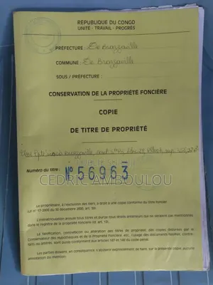 Parcelle À Vendre À Moungali Troisième Parcelle Du Goudron 356,22m2