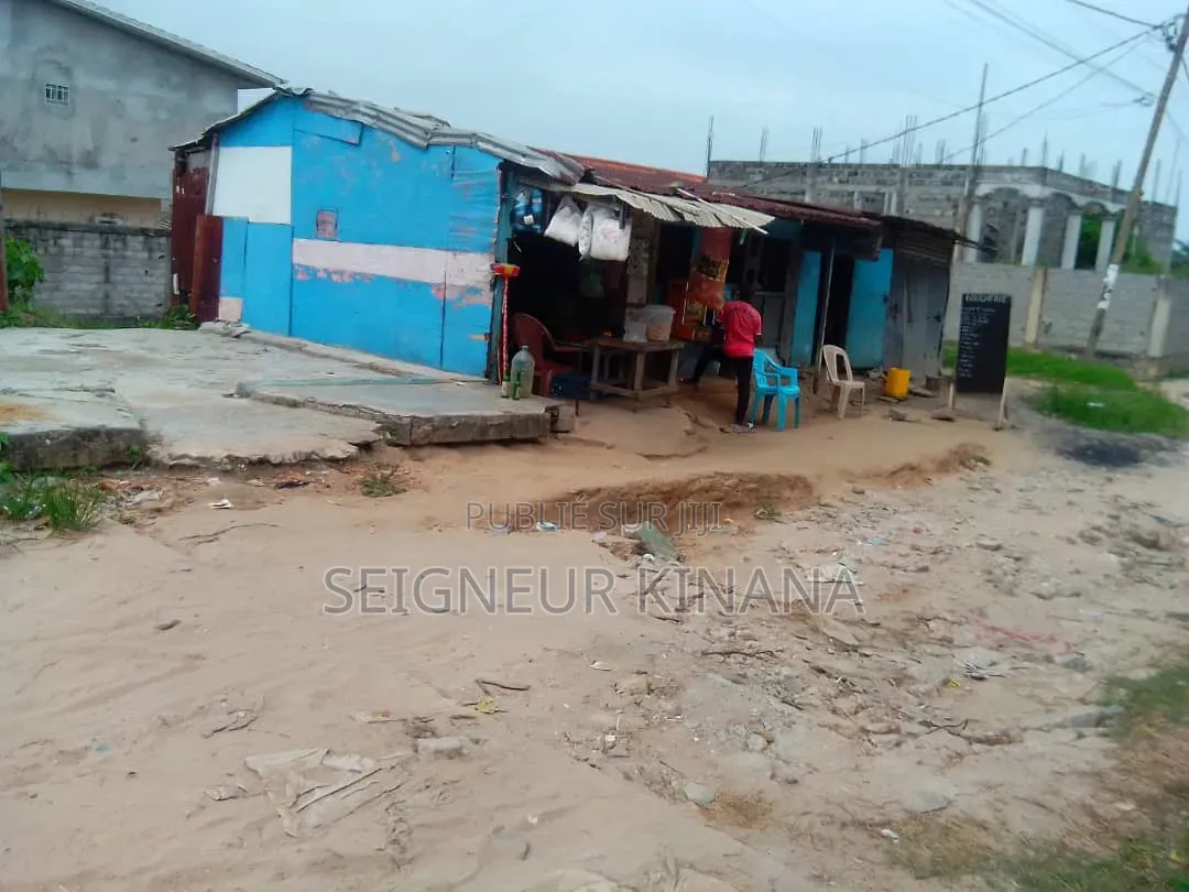 Demie Parcelle À Vendre Ngoyo