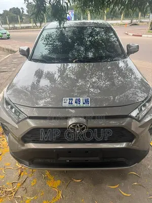 Toyota RAV4 2020 Marron