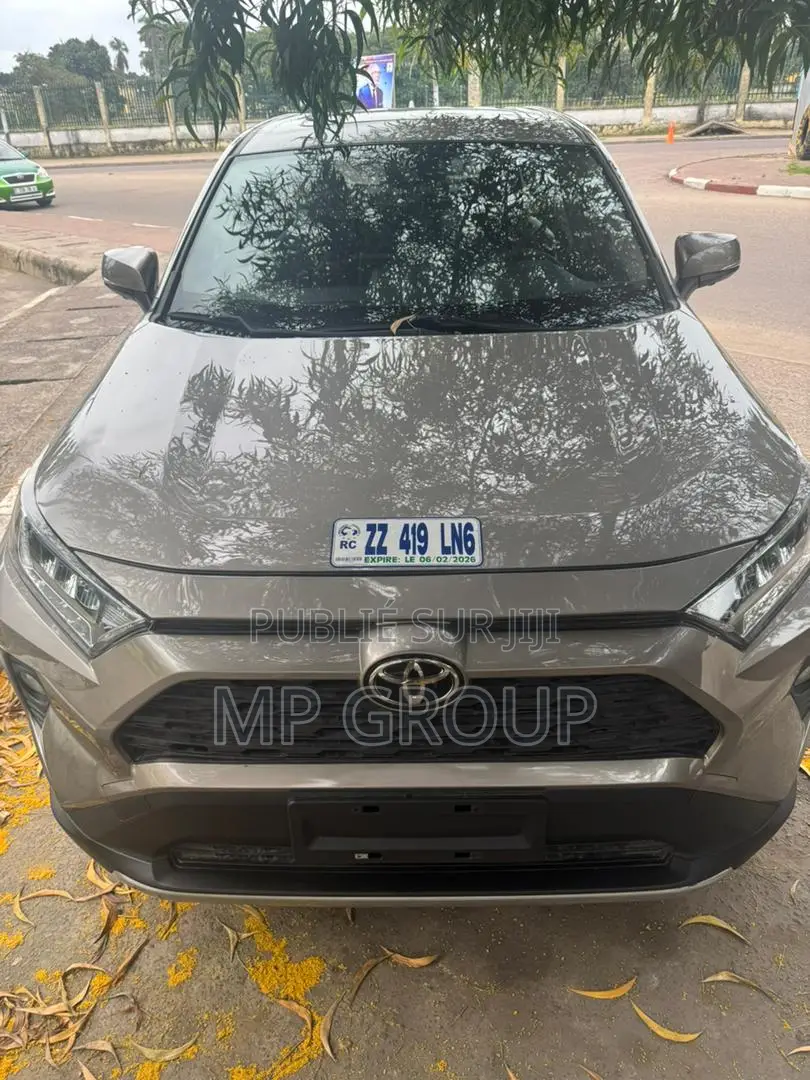 Toyota RAV4 2020 Marron