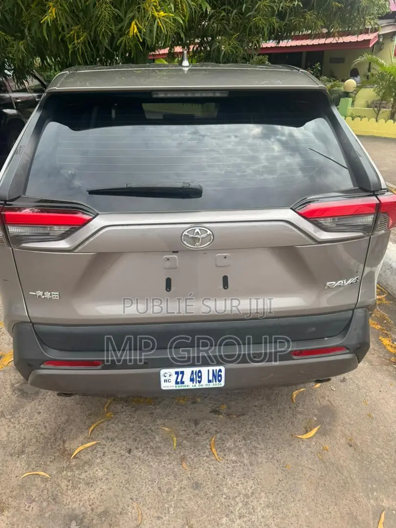 Toyota RAV4 2020 Marron