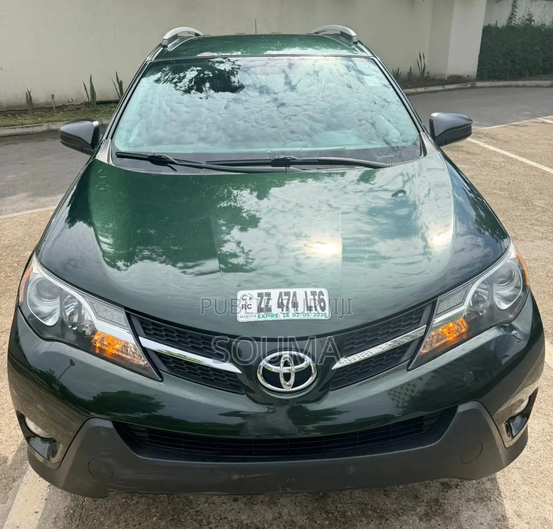 Toyota RAV4 2015 Vert