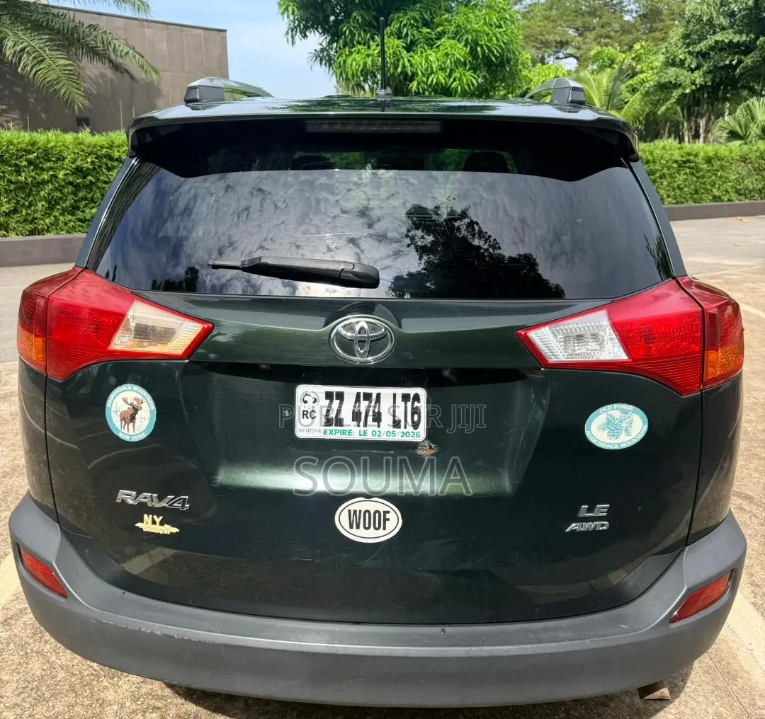 Toyota RAV4 2015 Vert