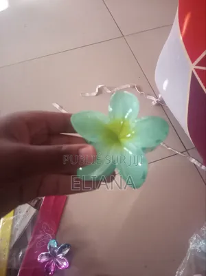 Barrette Hawaï