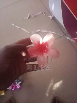 Barrette Hawaï