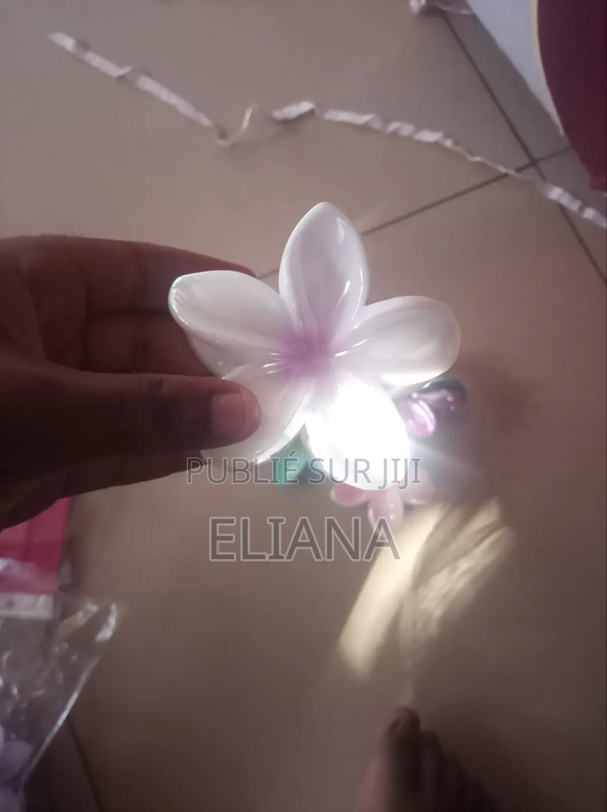 Barrette Hawaï