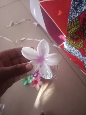 Barrette Hawaï