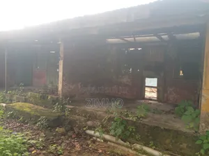 Mini-plat dans Zimmo, Madibou à Vendre