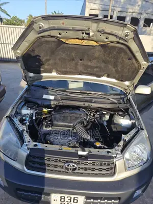 Toyota RAV4 2005 Jaune
