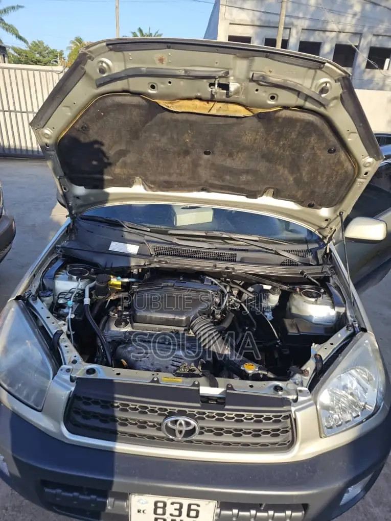 Toyota RAV4 2005 Jaune