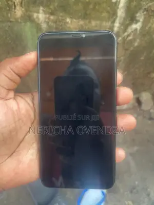 Apple iPhone 11 Pro Max 256 GB Noir