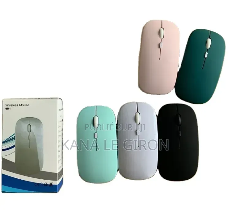 Souris Sans Fil