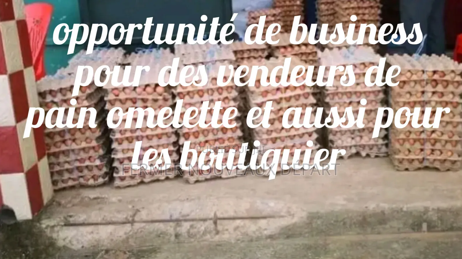 Vente d'Oeuf À Partir De 3 Palettes 3100