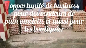 Vente d'Oeuf À Partir De 3 Palettes 3100
