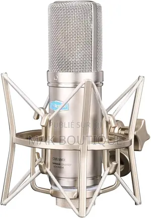 Microphone De Studio Pro