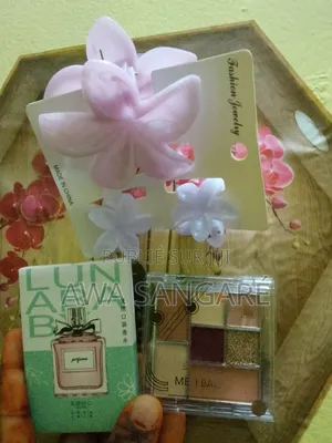 Les Painsses À Cheuveux Mini Parfums Et Aussi Les Mini Blush