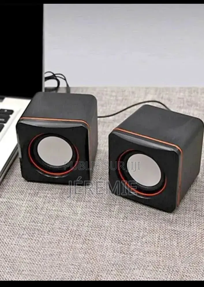 Mini Haut Parleur