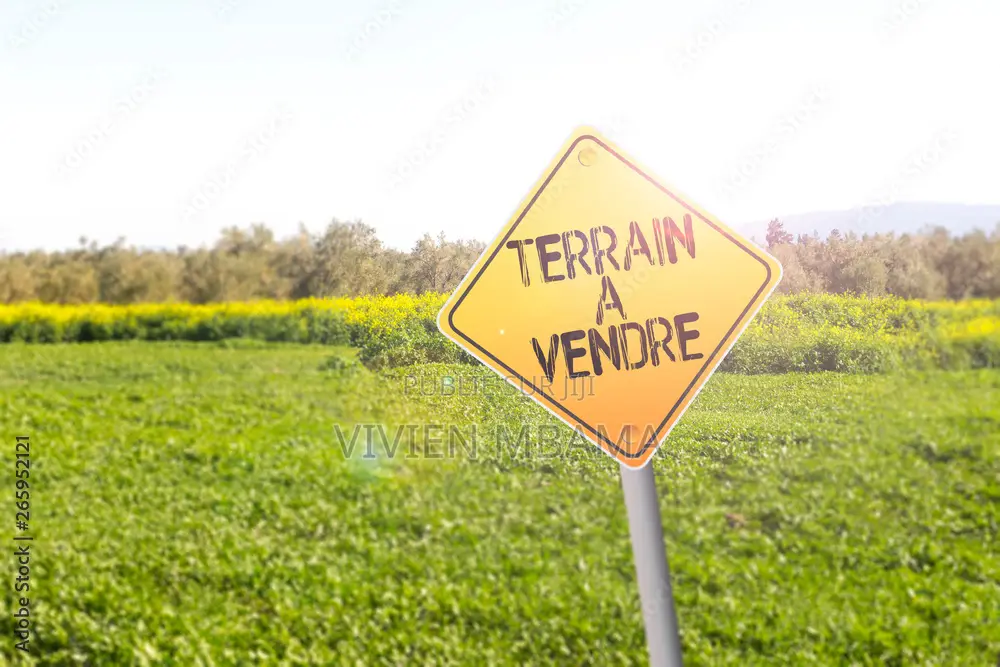2 Parcelles a Dolisie
