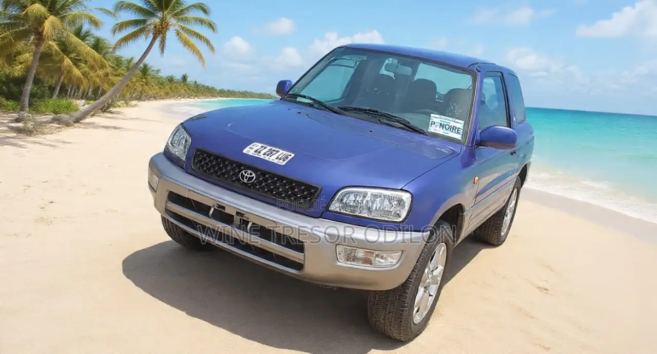Toyota RAV4 Base 4x4 1999 Bleu