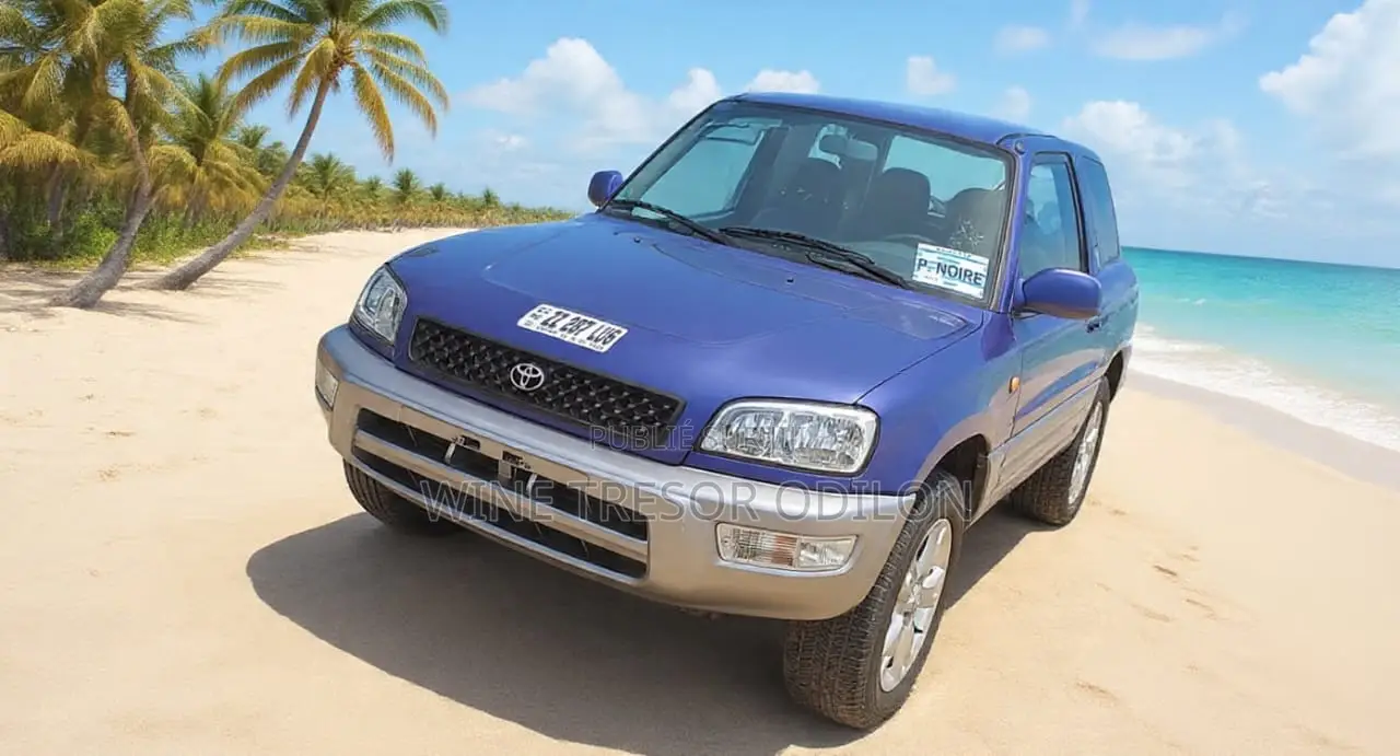 Toyota RAV4 Base 4x4 1999 Bleu