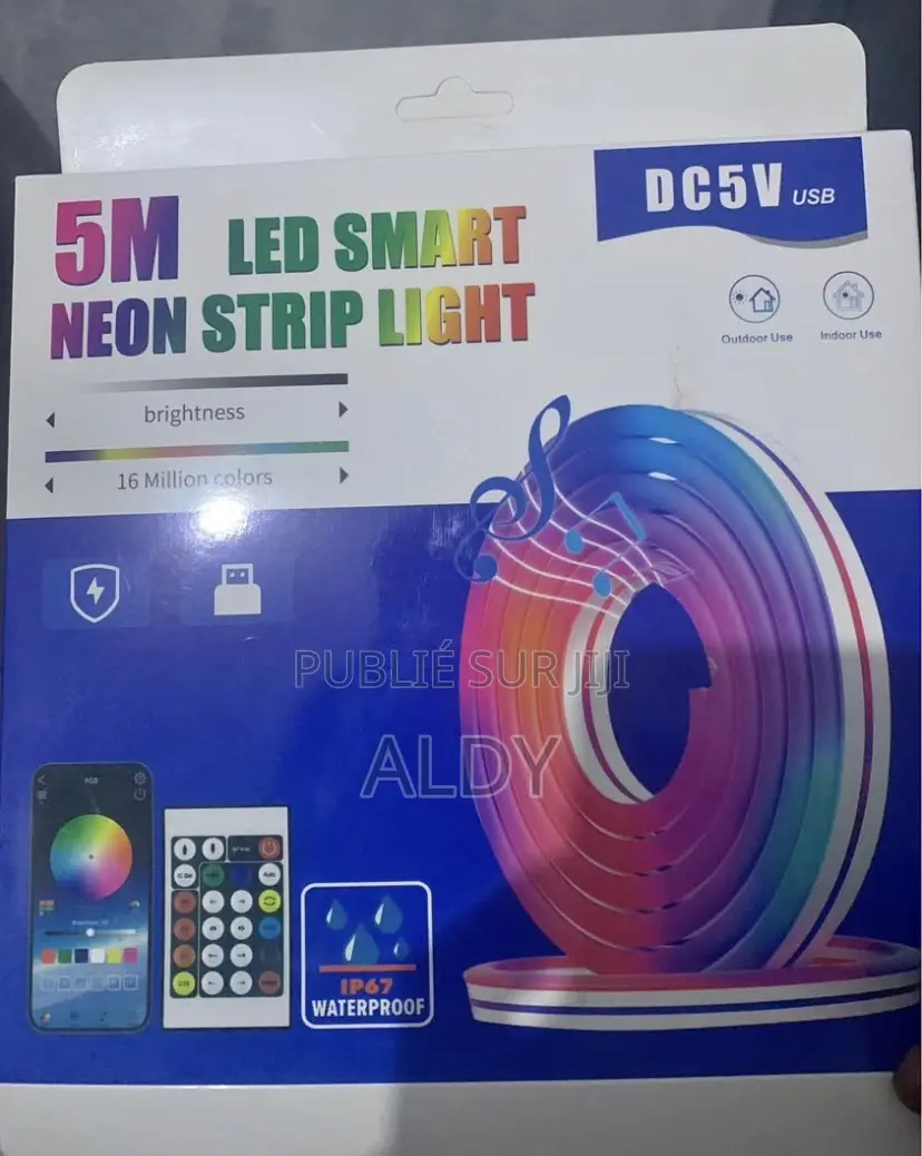 Led Néon 5m