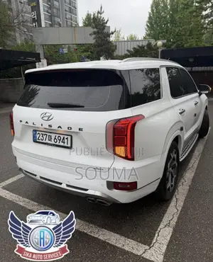 Hyundai Palissade 2021 Blanc
