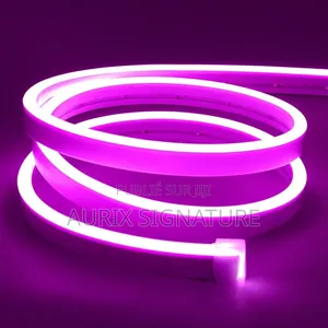 Leds Neons