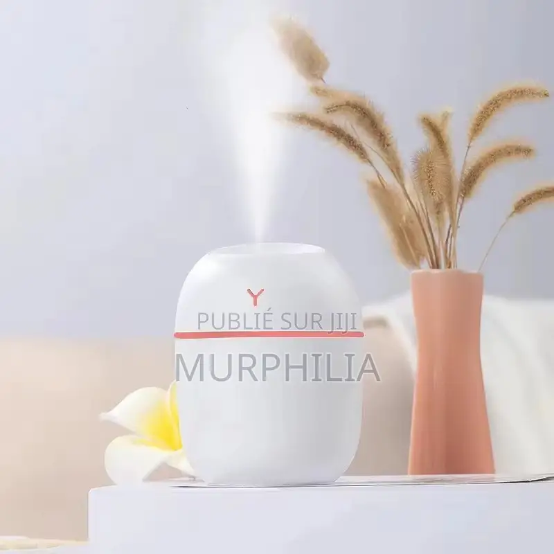Mini Humidificateur d'Air / Diffuseur Aromatique (Promotion)